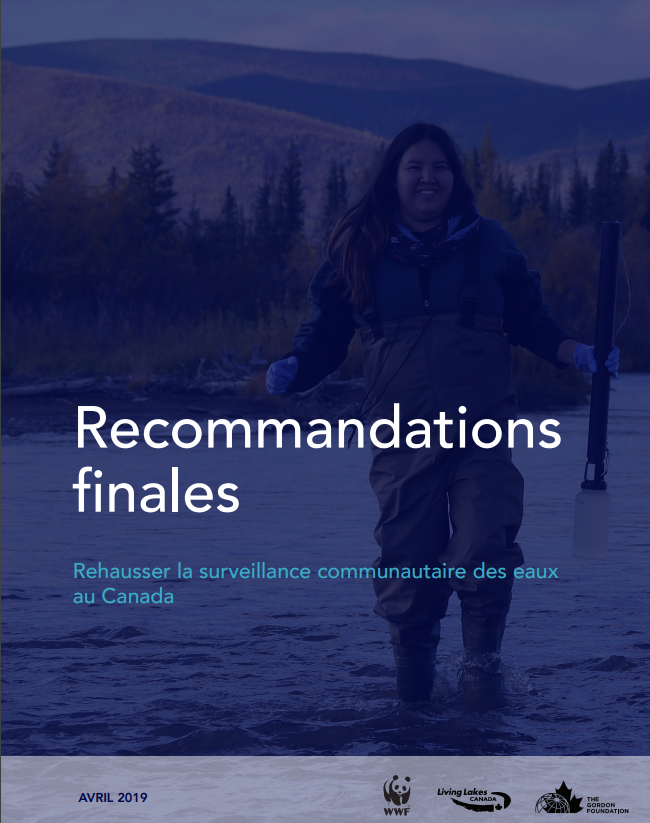 Recommendations finales
